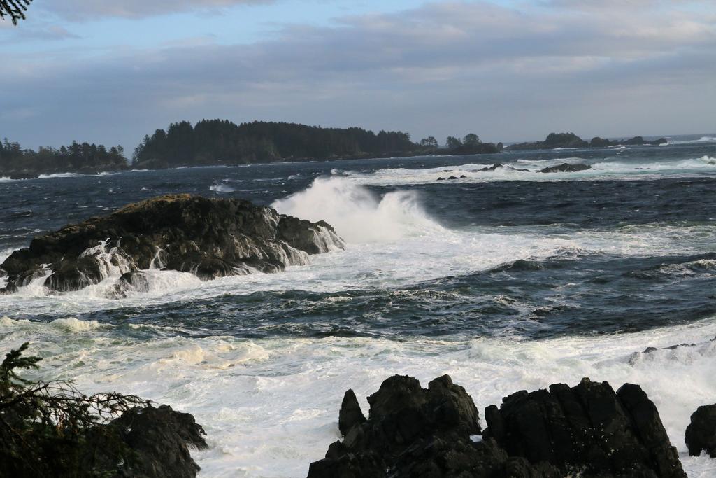 Melfort Bell Guest Suites Ucluelet Exterior photo