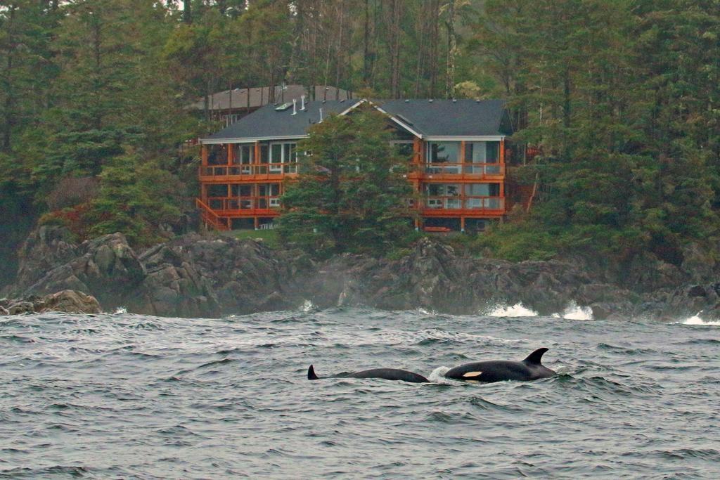 Melfort Bell Guest Suites Ucluelet Exterior photo